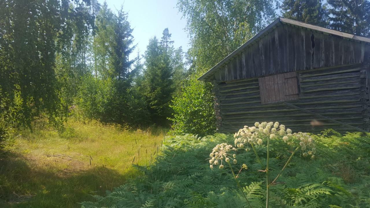 Villa Vuorenpaeae Tammela Exterior foto